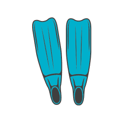 Fins Fins