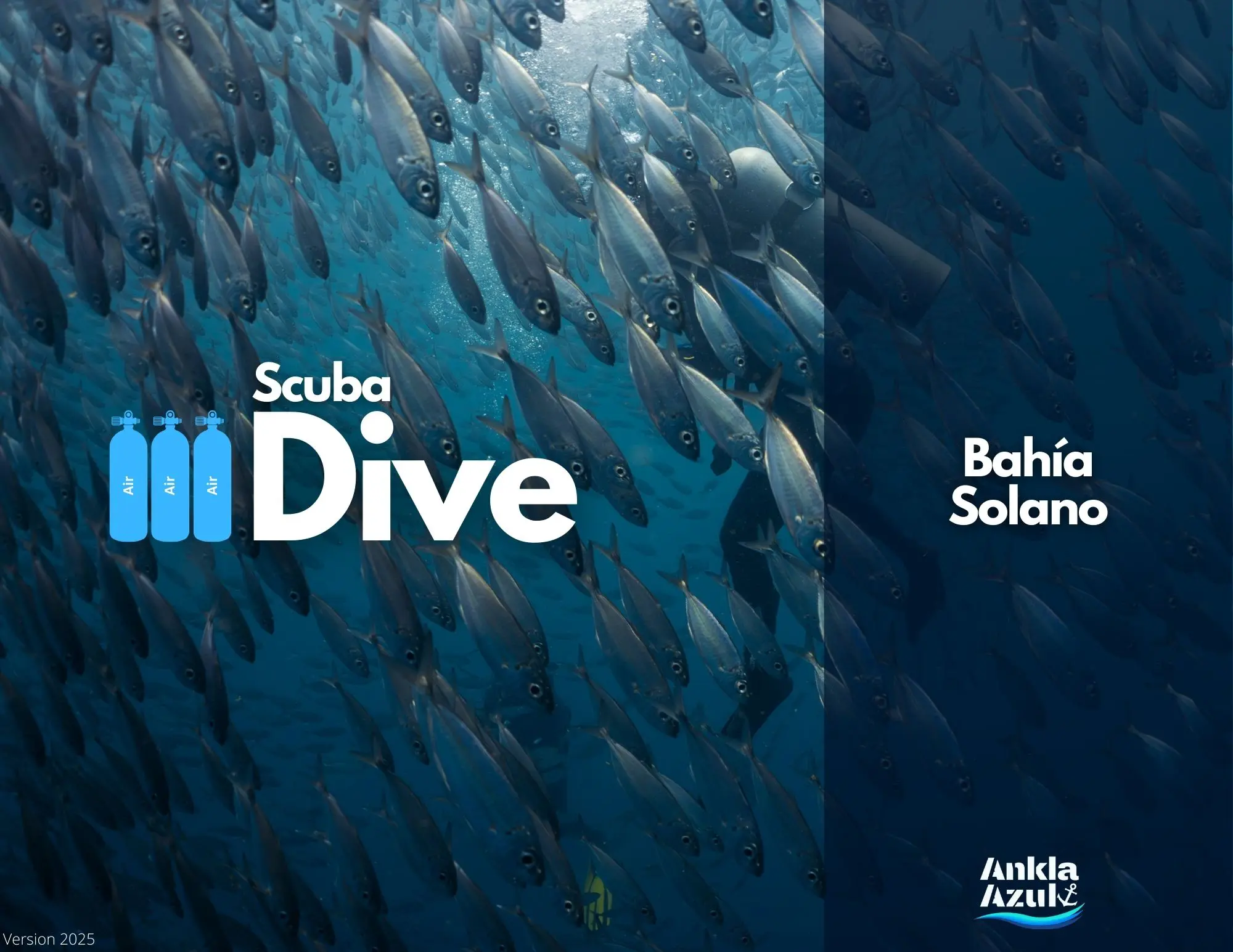 3 Fun Dive Cover