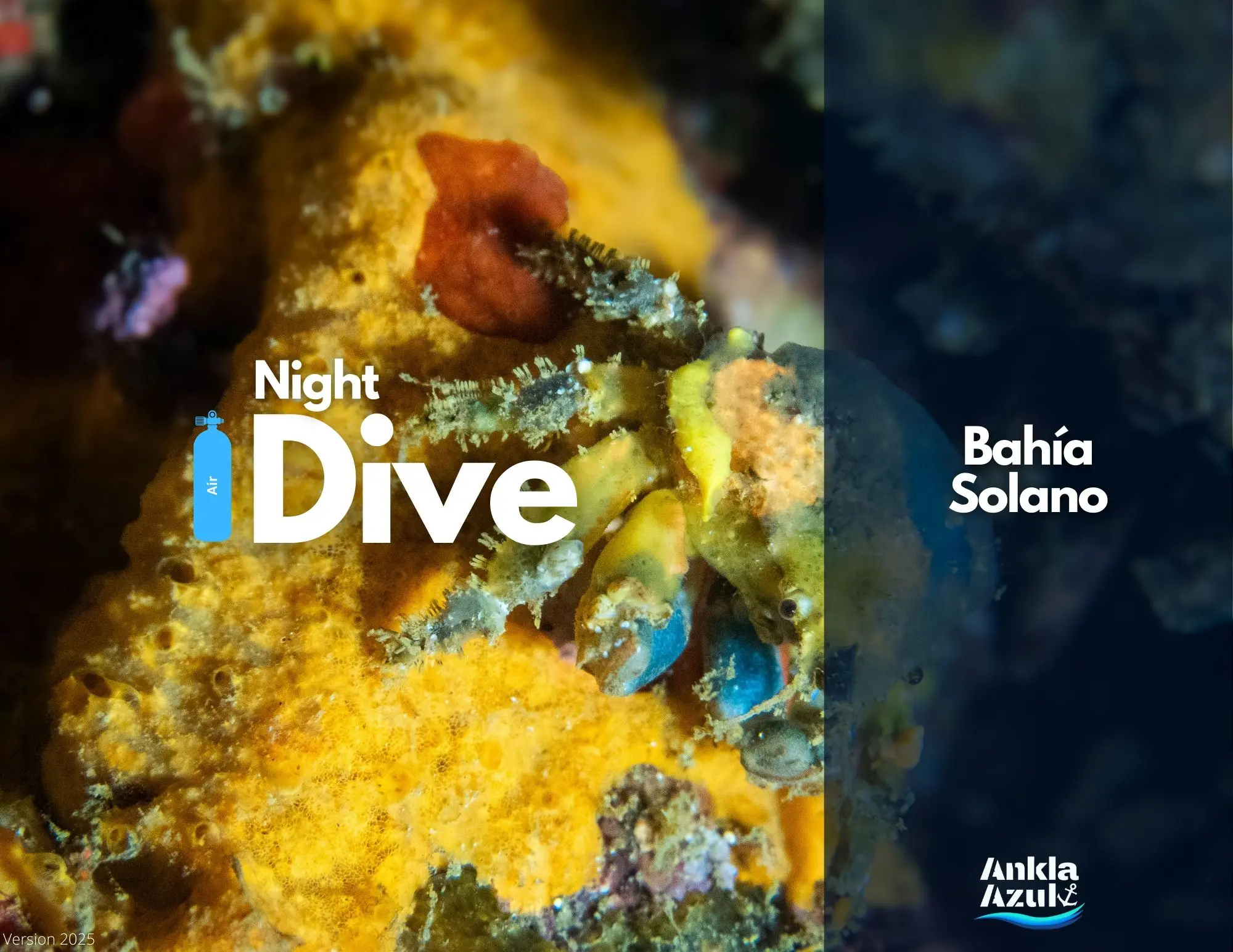 Night Dive Cover