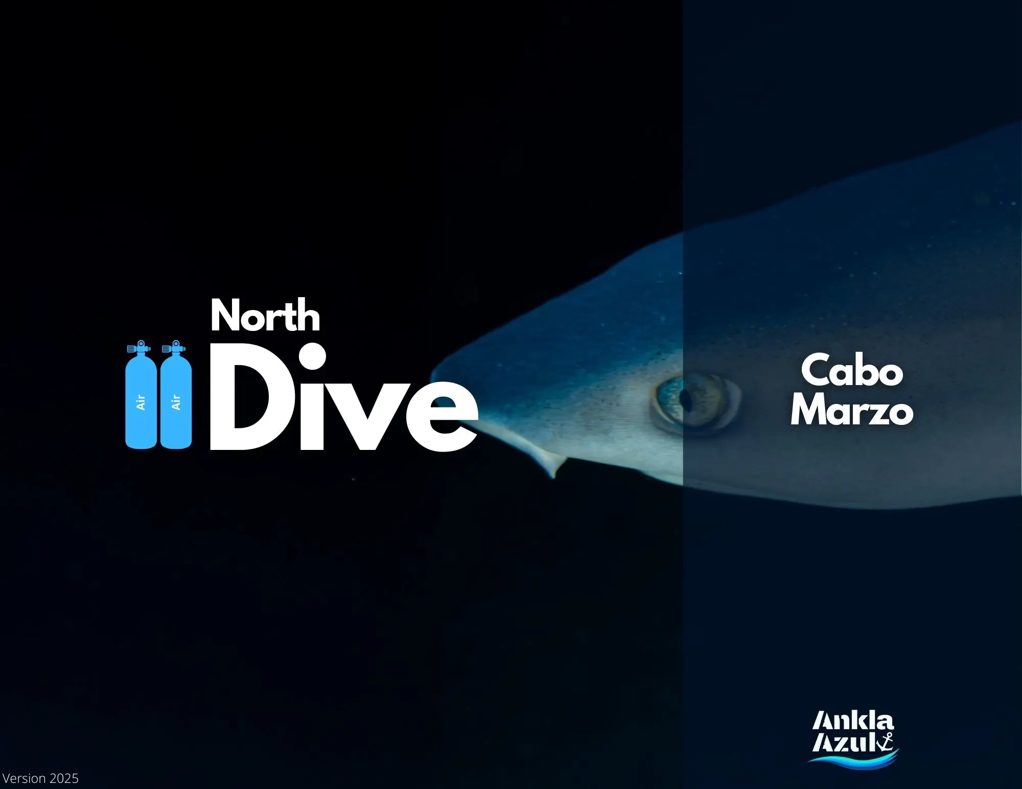 North Dive Cover