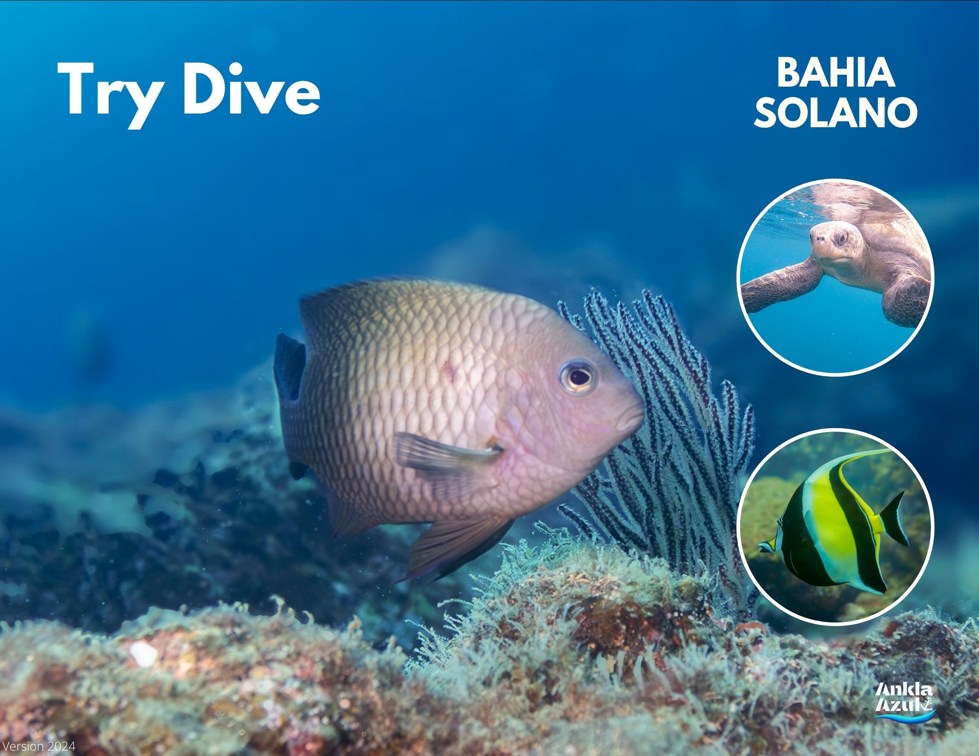 Try Diving Bahia Solano (3)