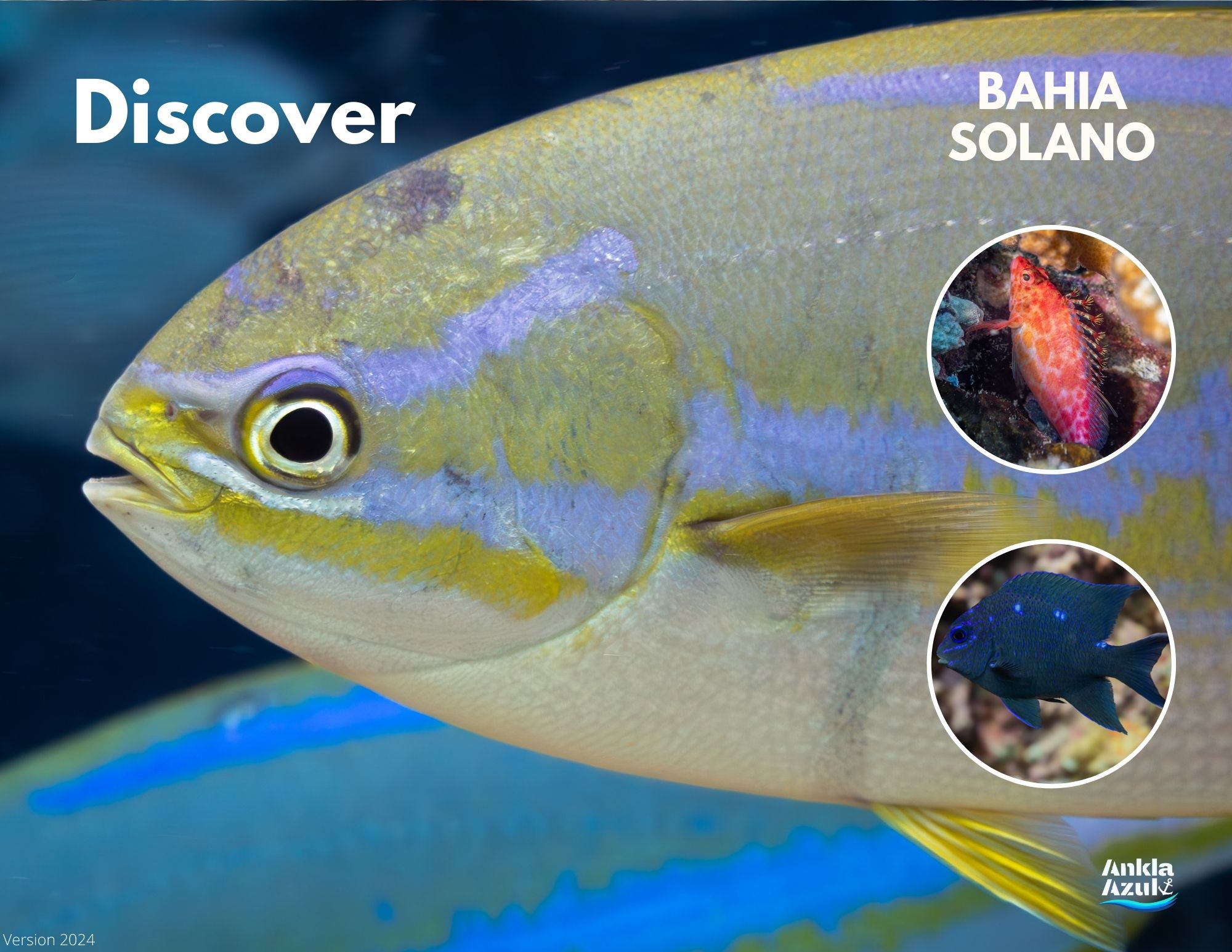 Try Diving Bahia Solano (4)