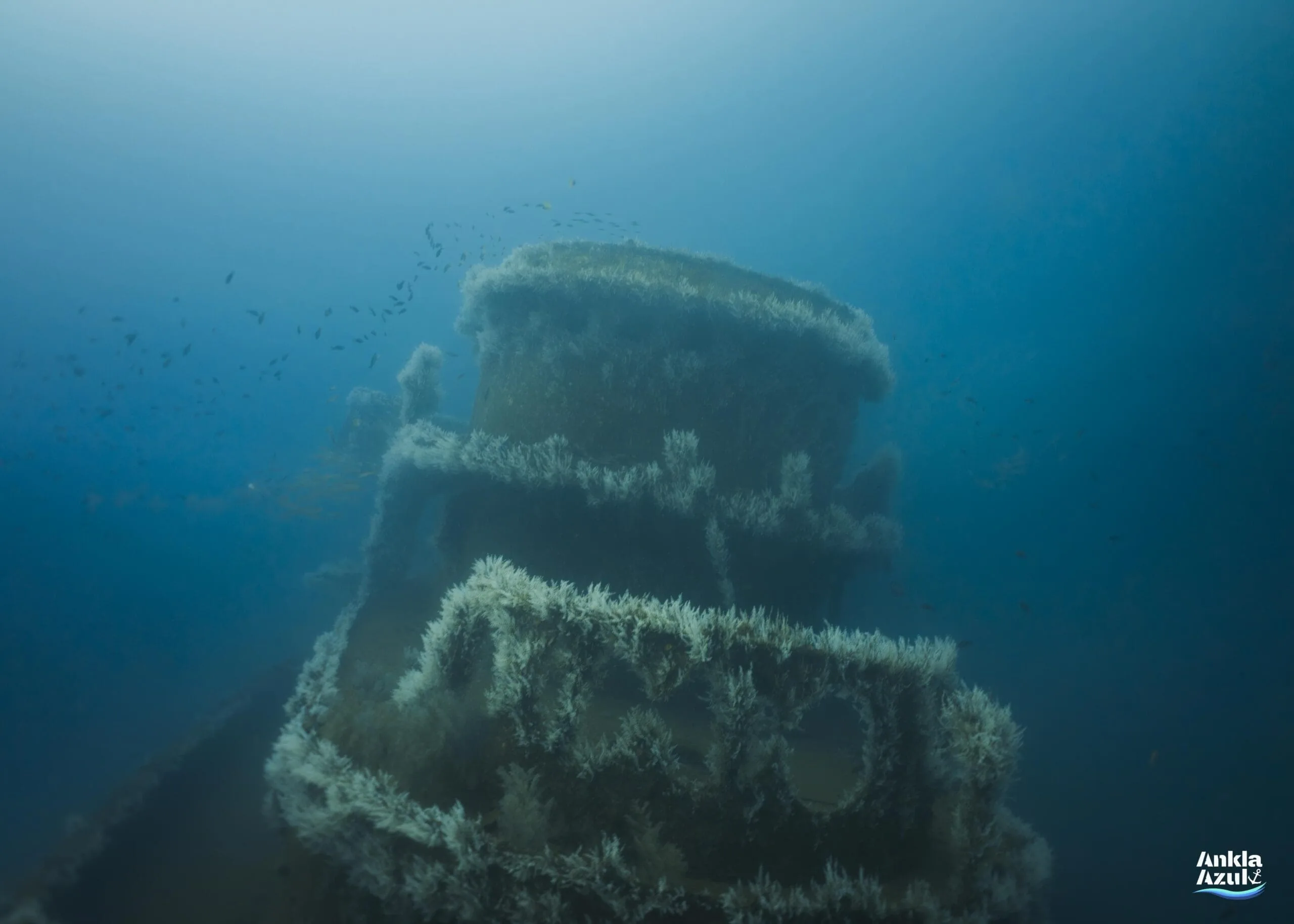 Sebastian de Belalcazar Shipwreck | Ankla Azul