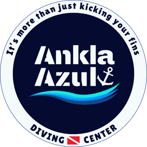 Ankla Azul Logo