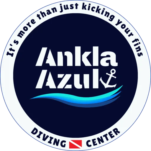 Ankla Azul Logo