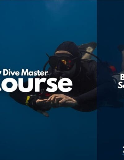 Dive Master Cover