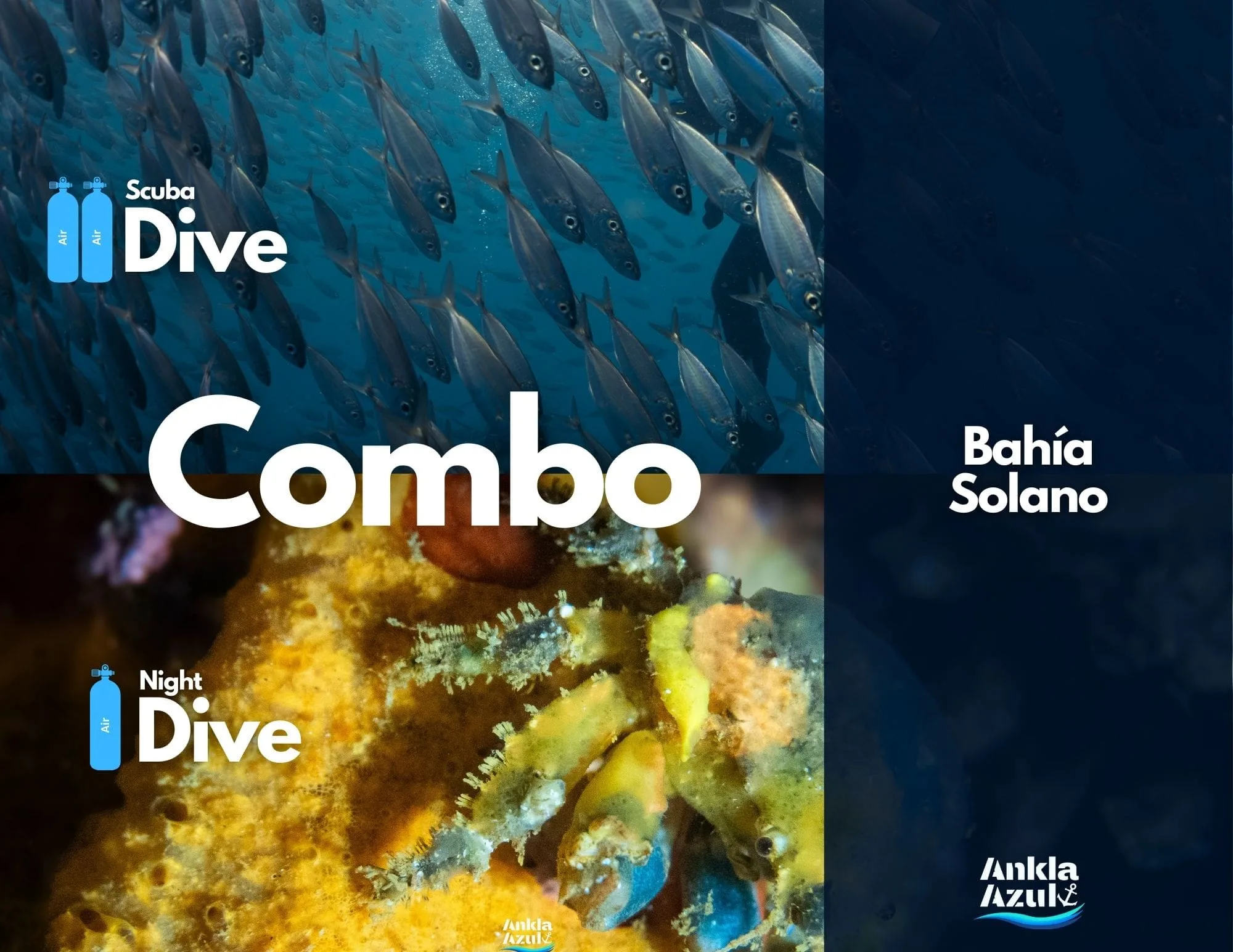 Scuba Fun Dives in Bahía Solano, Colombia | Certified Divers | Ankla Azul