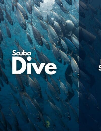 Fun Dive Service cover