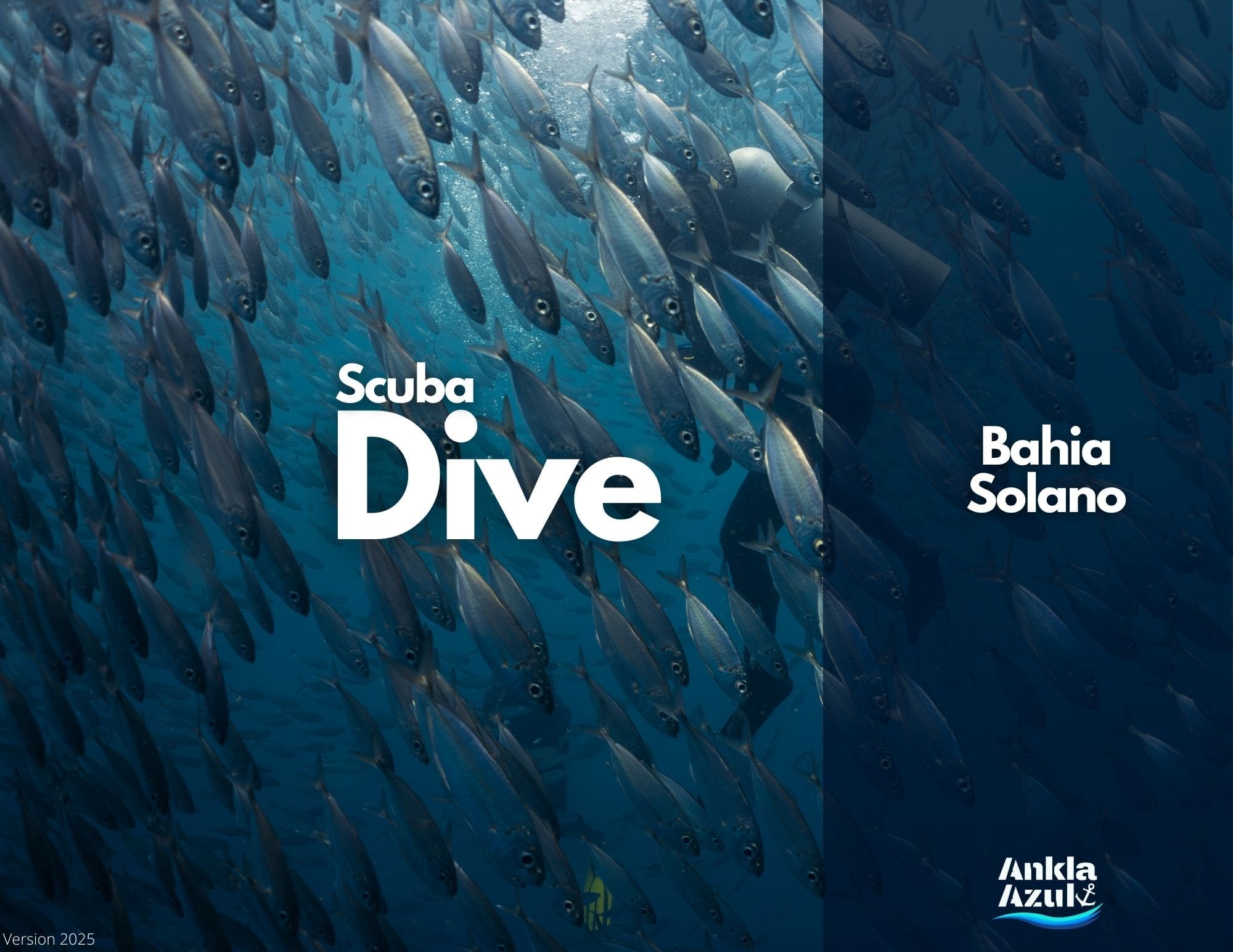 Fun Dive Service cover