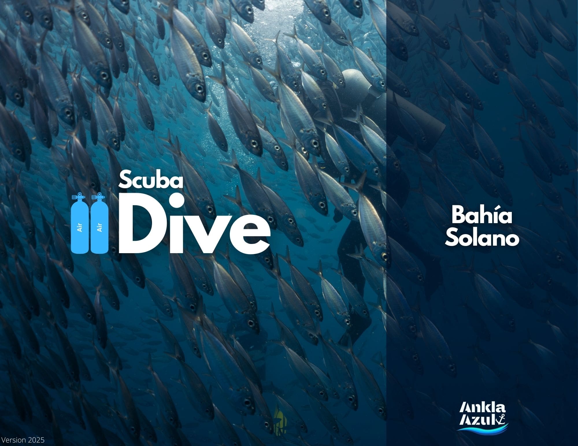 Fun Dive Cover Fun Dive Cover