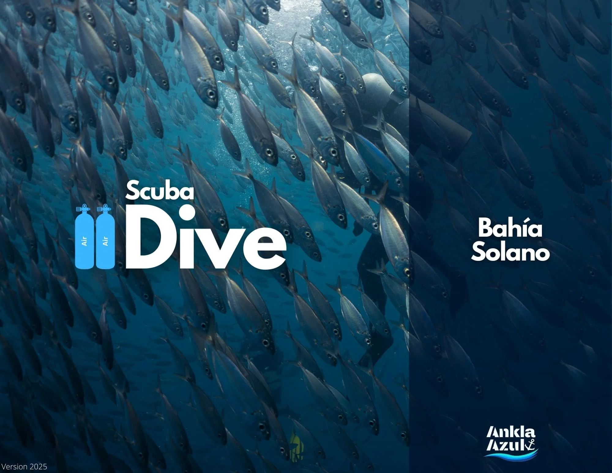 Scuba Fun Dives in Bahía Solano, Colombia | Certified Divers | Ankla Azul