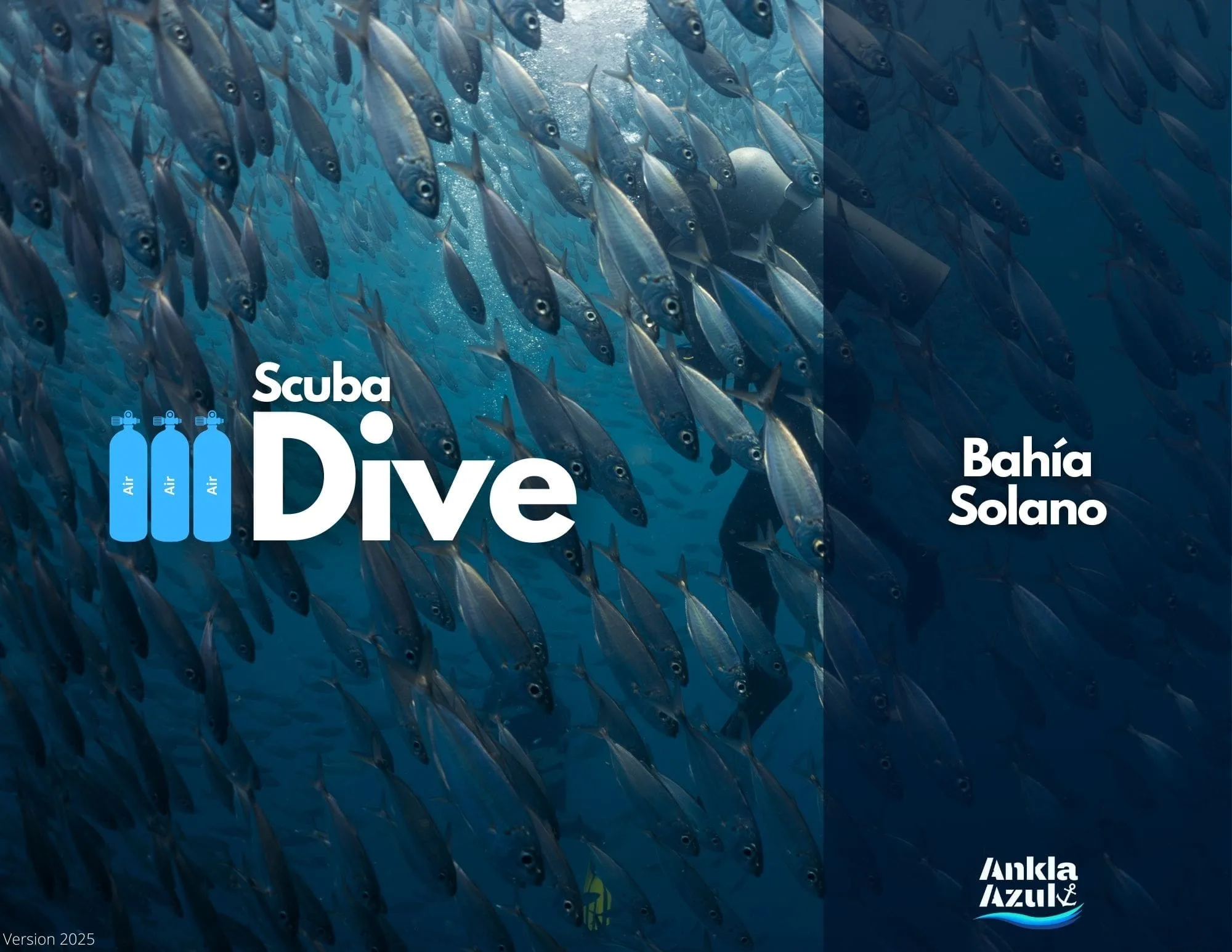 Scuba Fun Dives in Bahía Solano, Colombia | Certified Divers | Ankla Azul