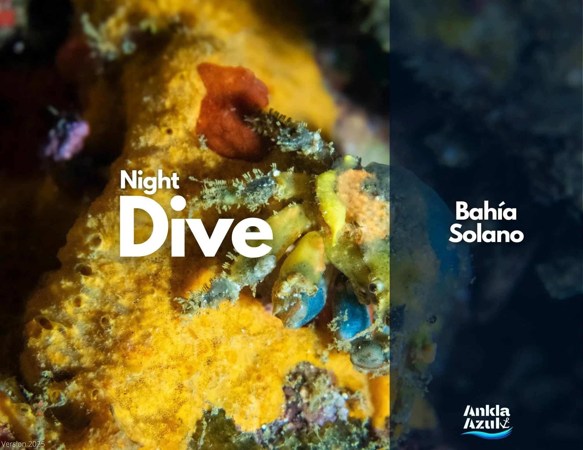 Night Dive Cover
