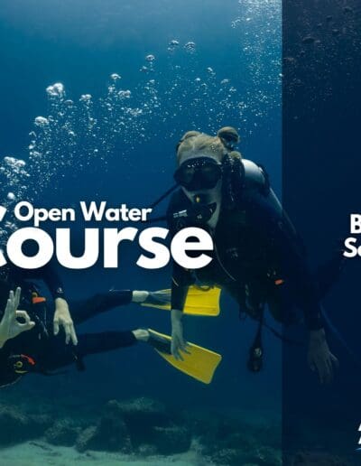 Open Water Course in Bahía Solano