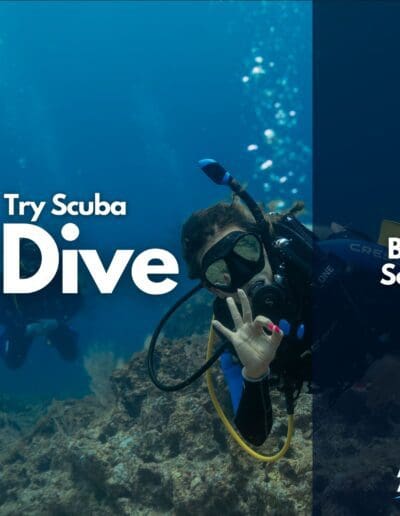 Try Scuba Cover