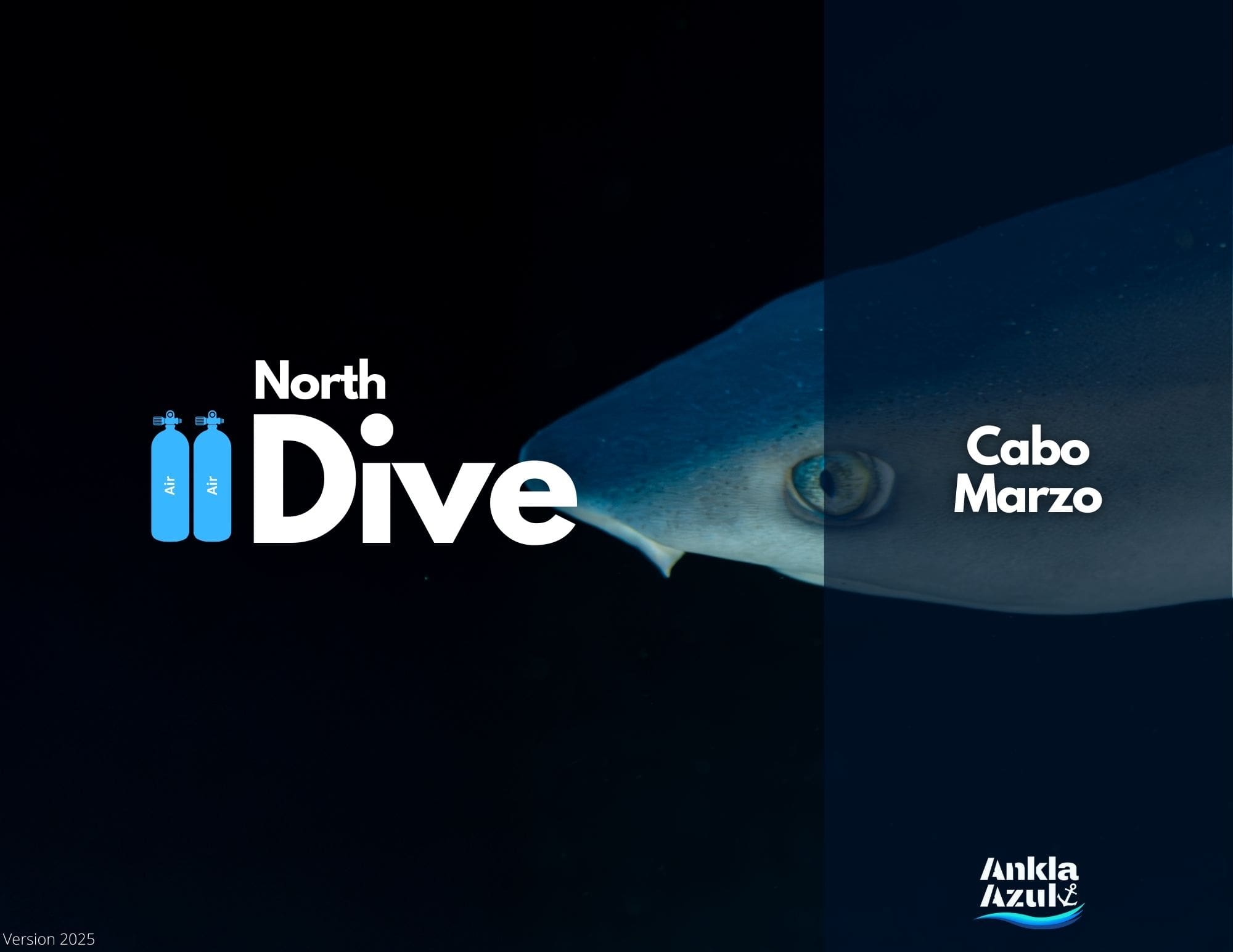 North Dive Cover North Dive Cover