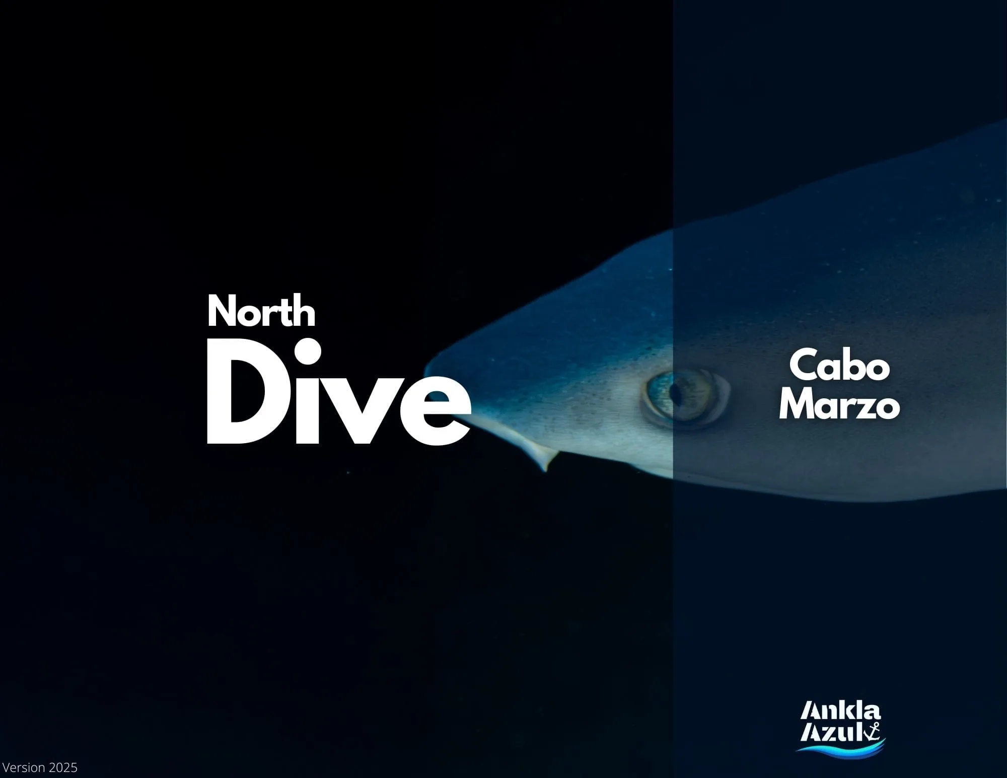 North Dive Cover