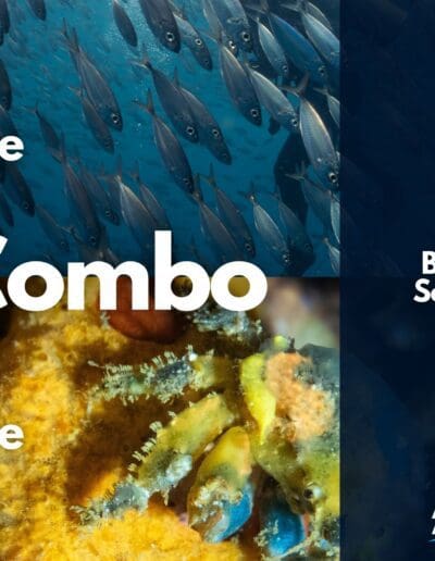 Combo Dive Cover in Bahia Solano