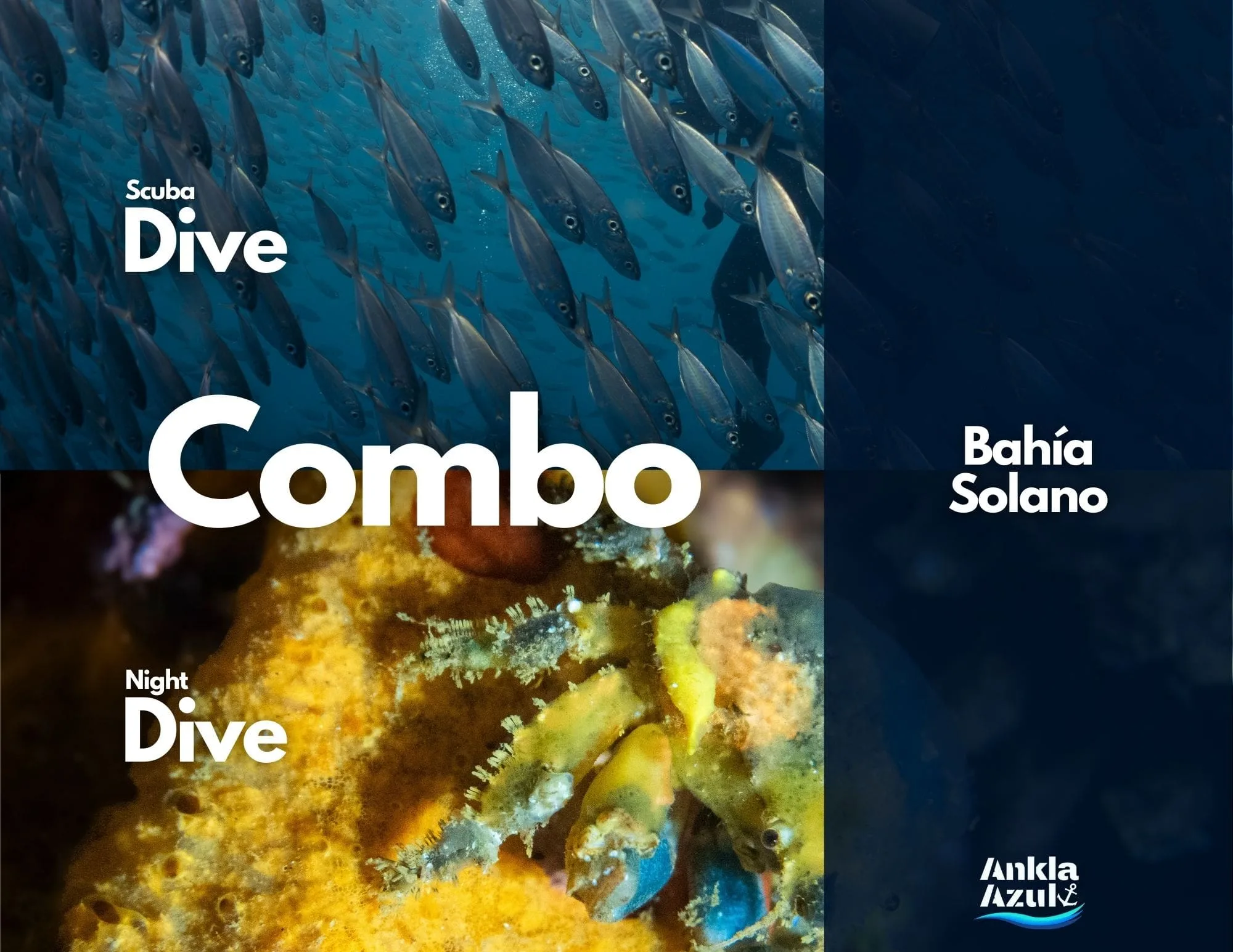 Combo Dive Cover in Bahia Solano