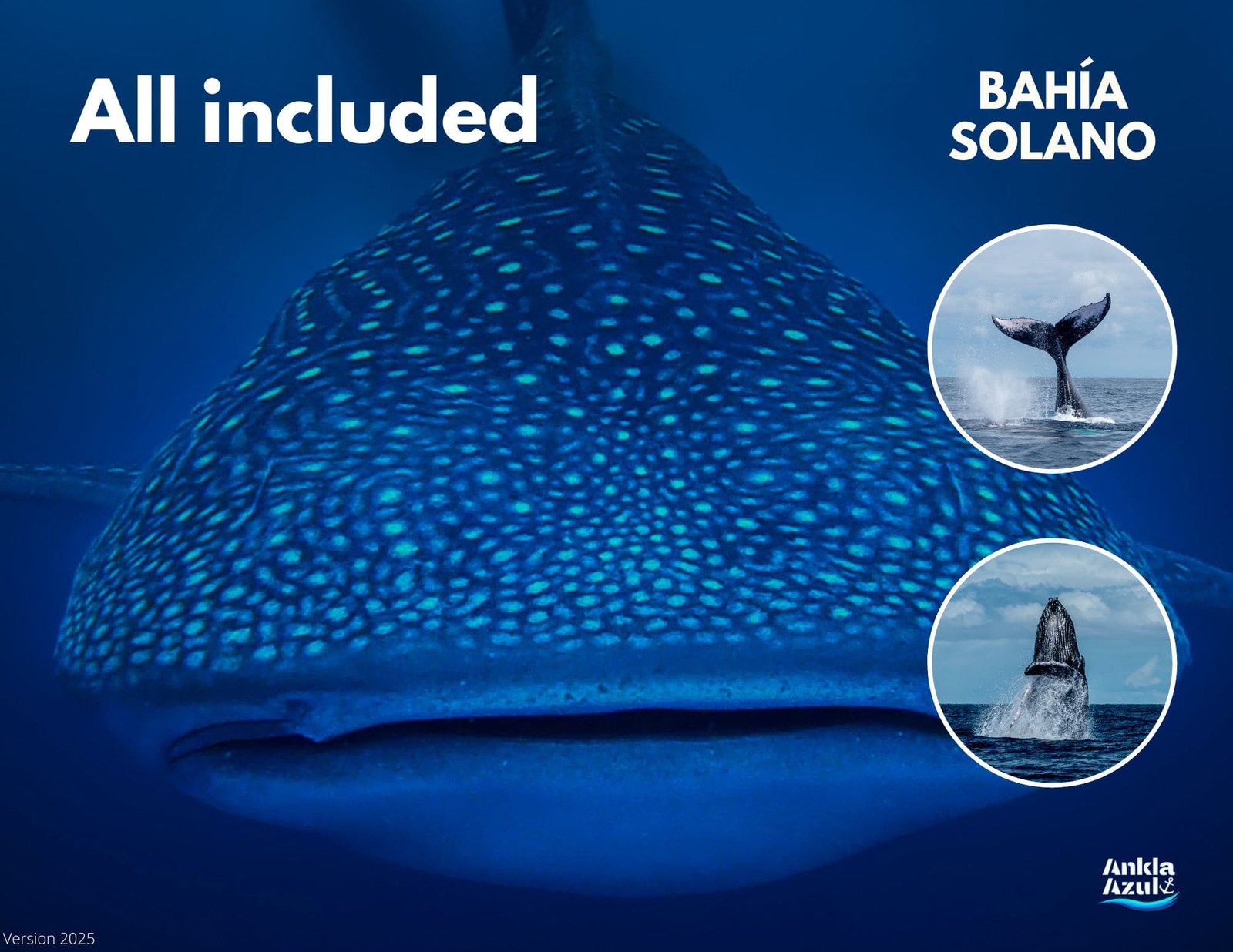 Try Scuba Diving in Bahia Solano