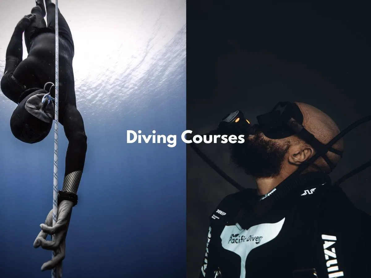 Try Freediving in Bahia Solano