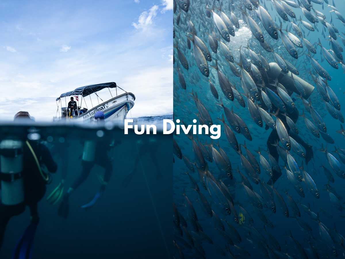 Fun Dives thumbnail