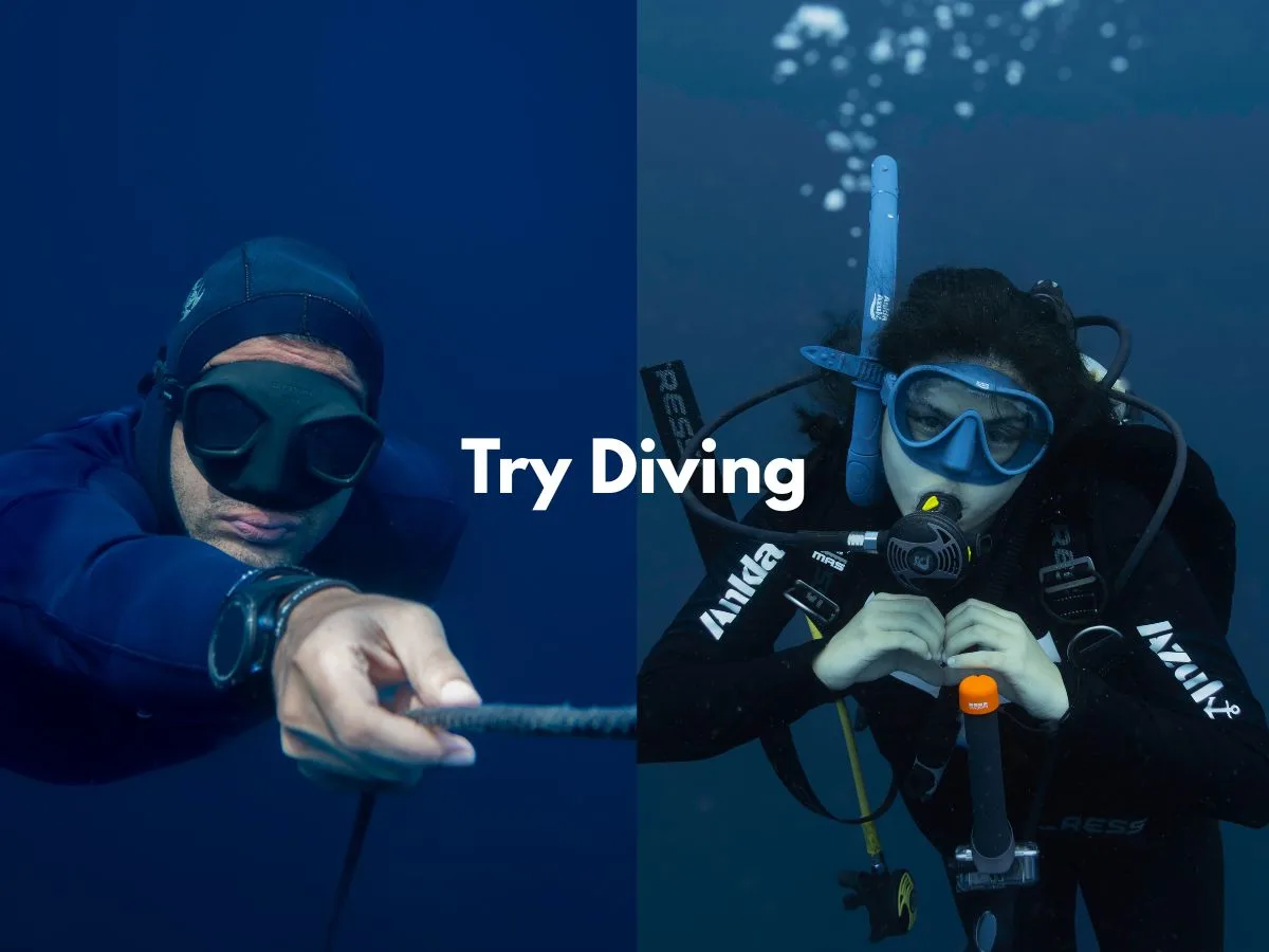 Try Diving thumbnail