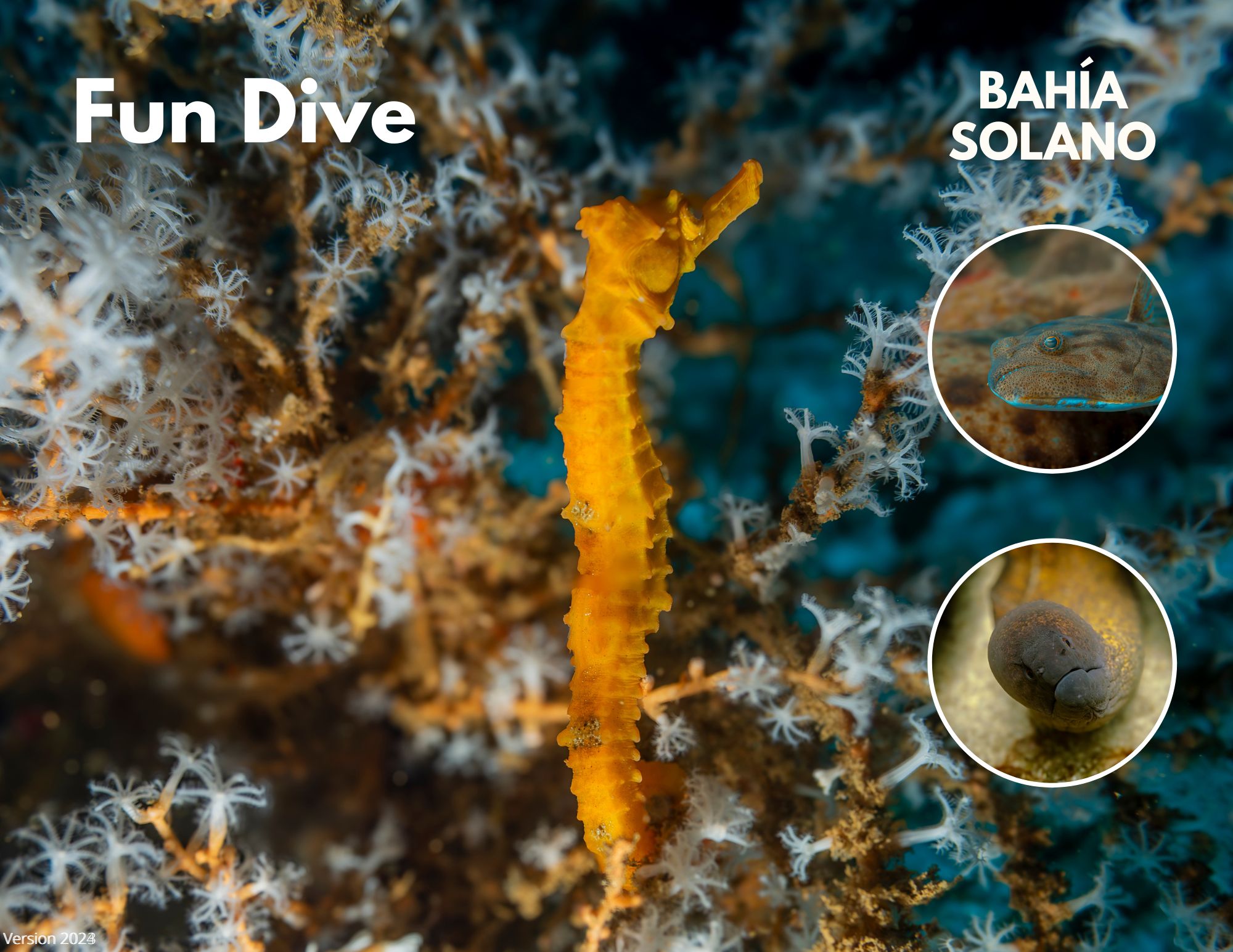 Try Diving Bahia Solano (4)