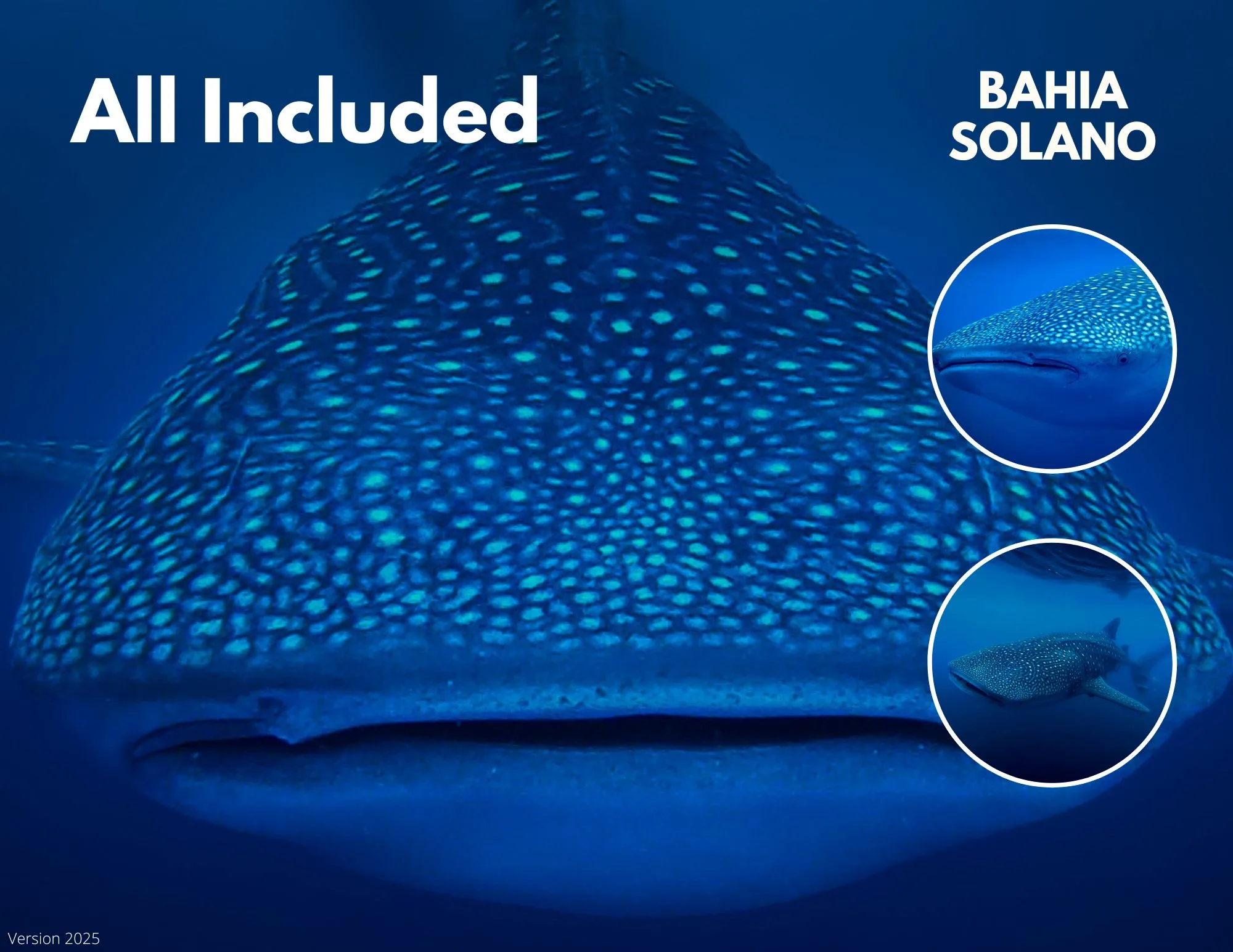 Scuba Fun Dives in Bahía Solano, Colombia | Certified Divers | Ankla Azul