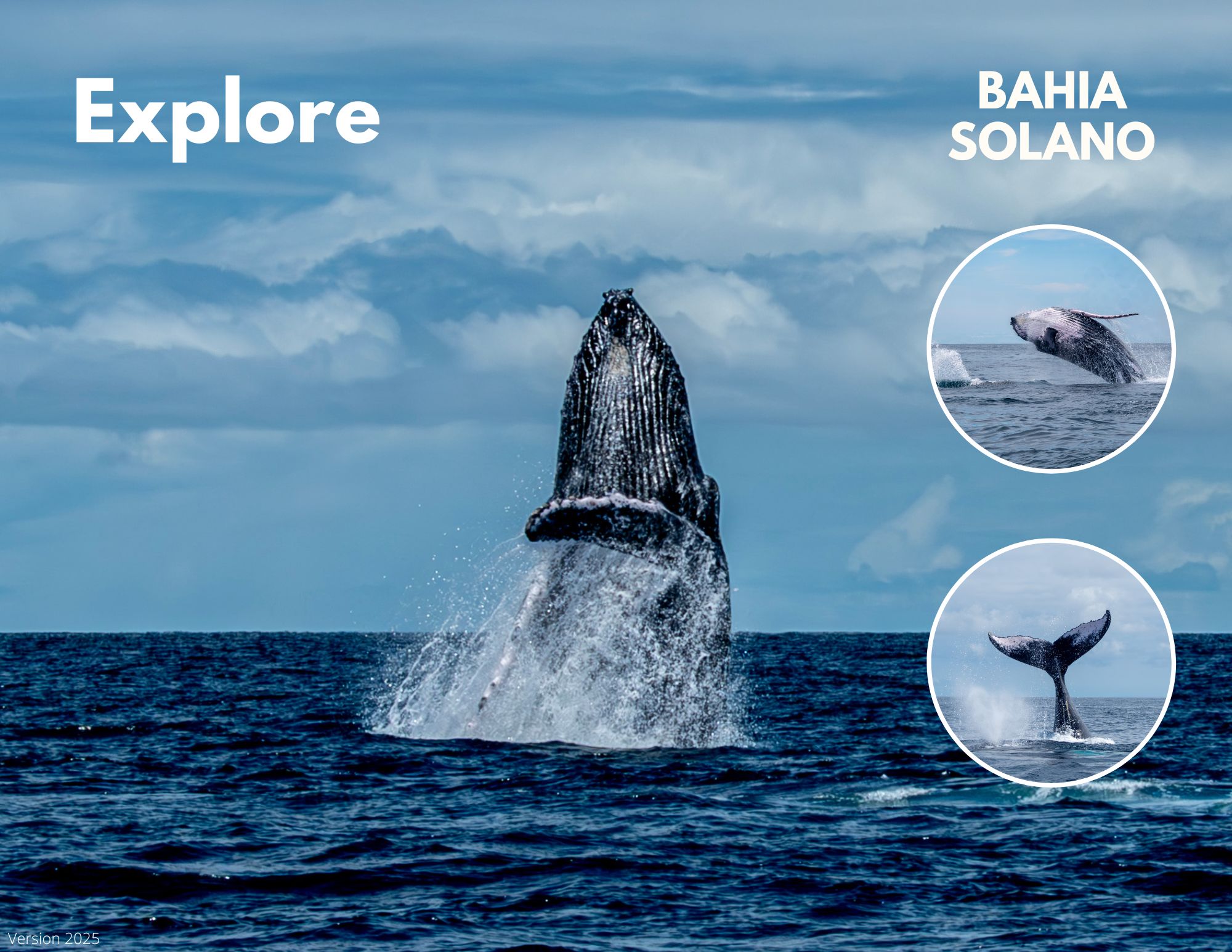 Try Diving Bahia Solano (3)