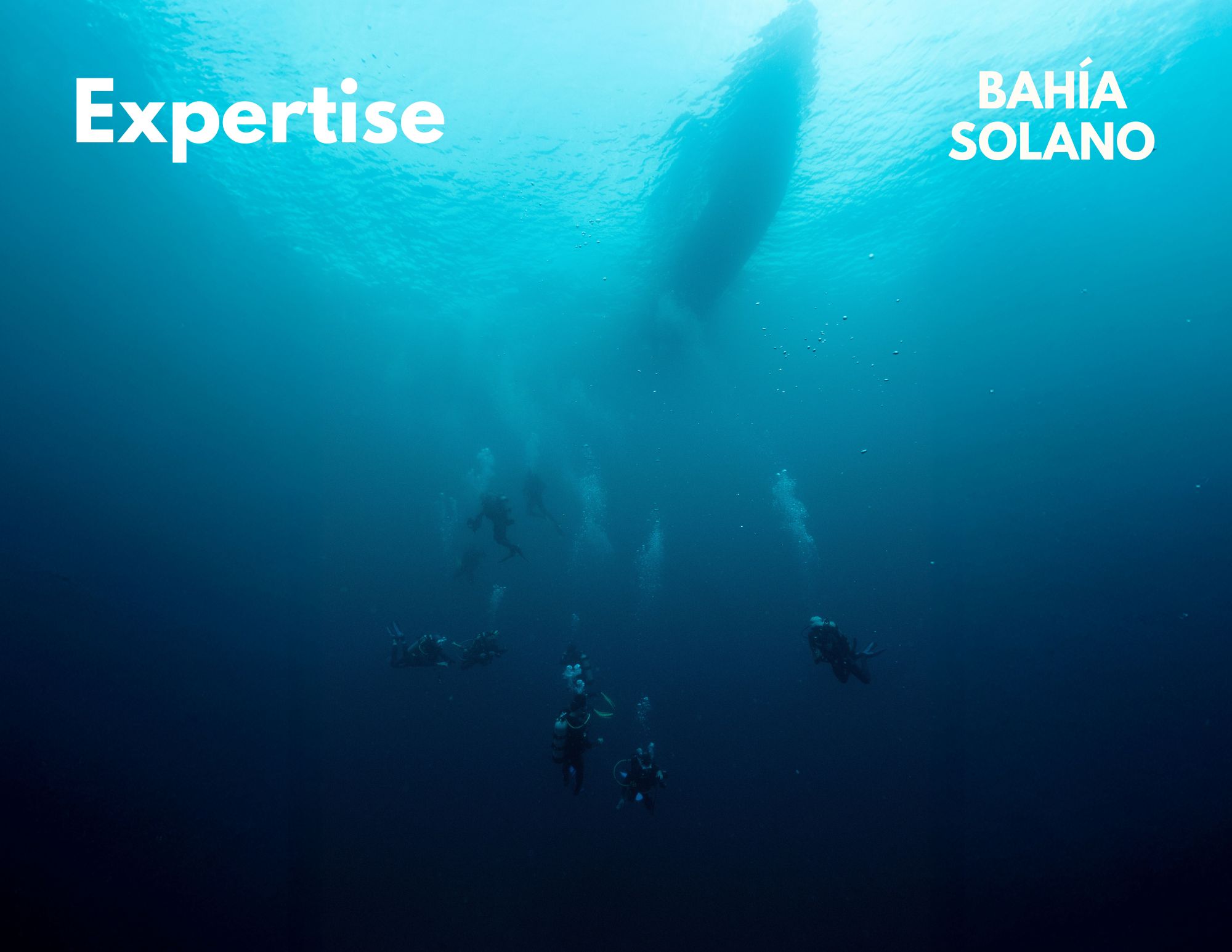 A wide shot of a group of divers descending into the deep blue under the shadow of the dive boat, with the text "Expertise" overlaid.