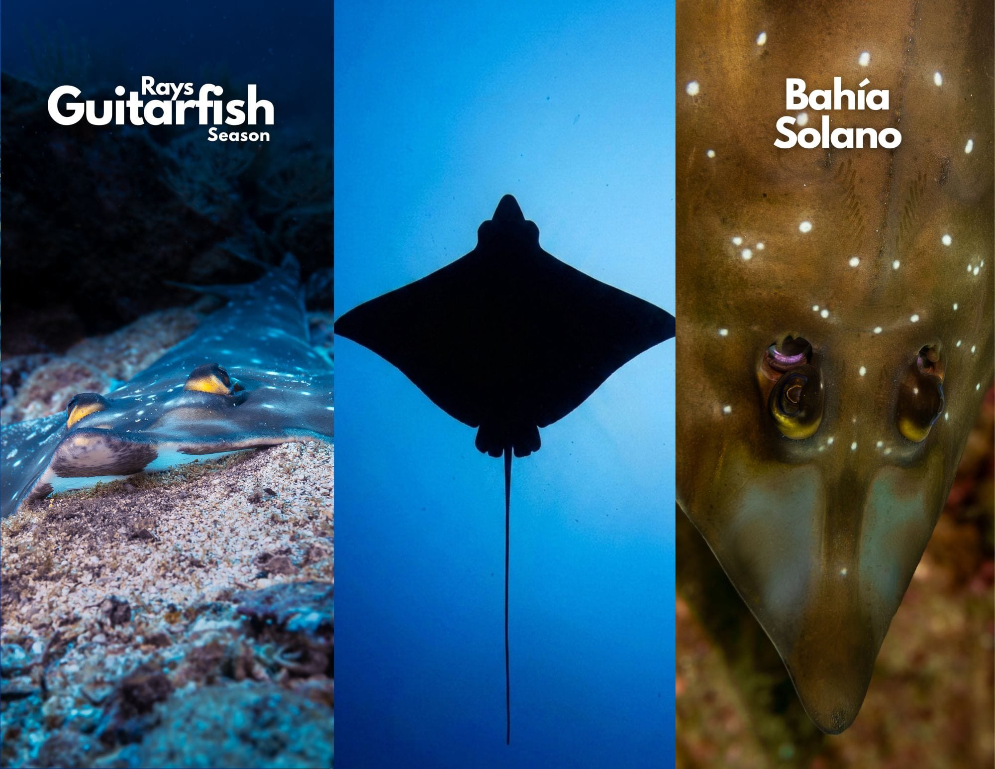 Fun Dive Cover page in Bahia Solano