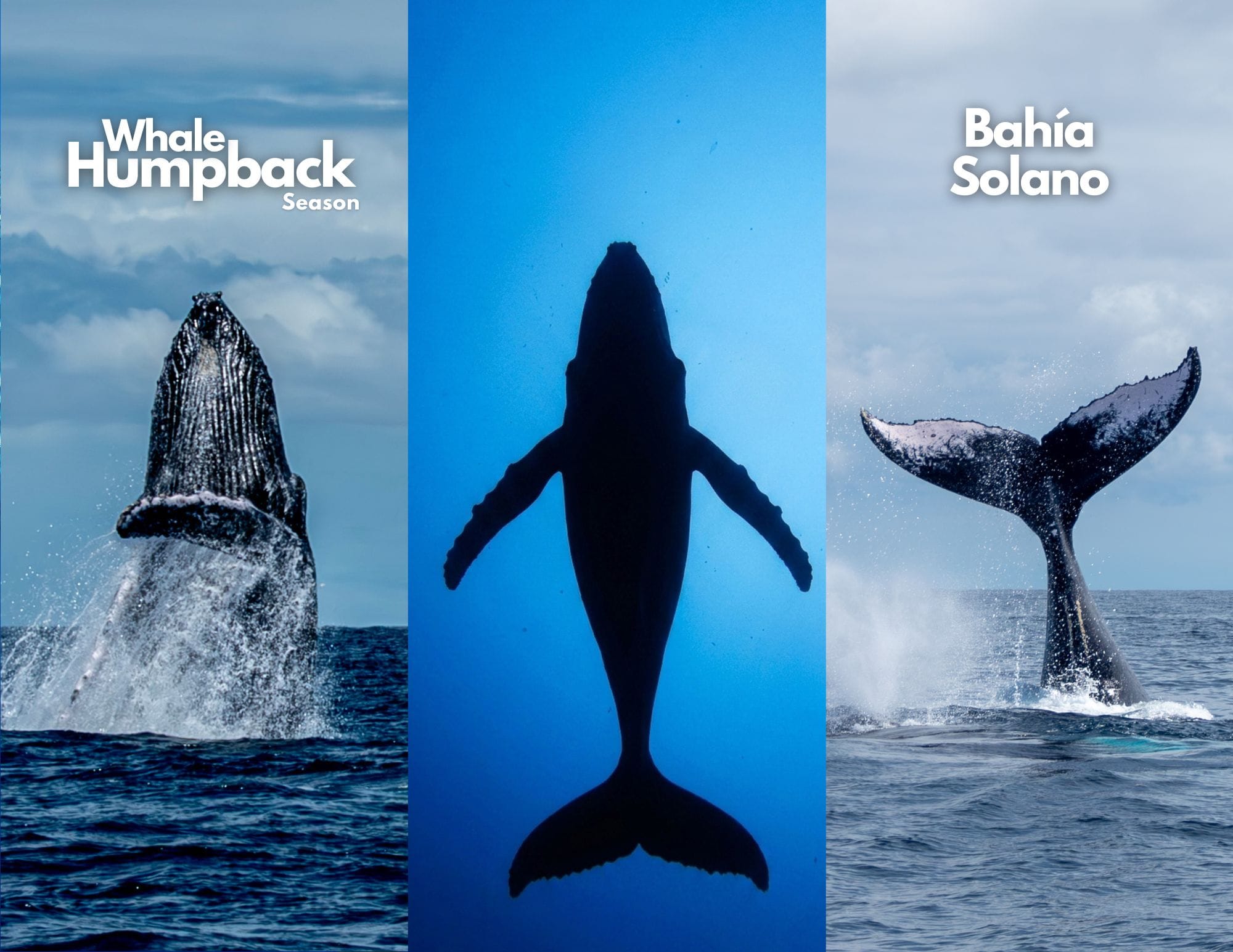 Fun Dive Cover page in Bahia Solano